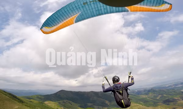CLB Dù lượn và Diều bay có động cơ Đông Bắc - Quảng Ninh