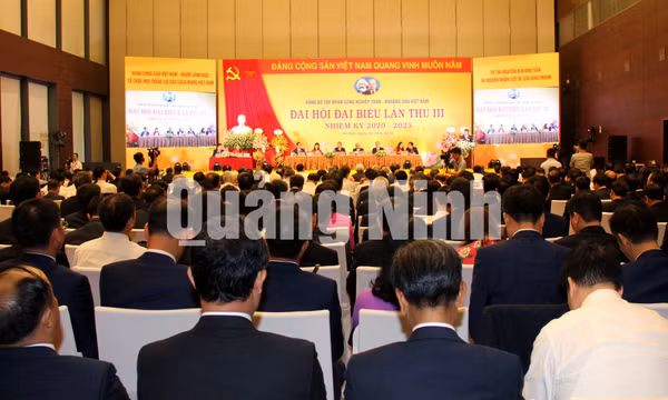 Đại hội Đại biểu Đảng bộ Tập đoàn Công nghiệp Than – Khoáng sản Việt Nam lần thứ III, tháng 6-2020