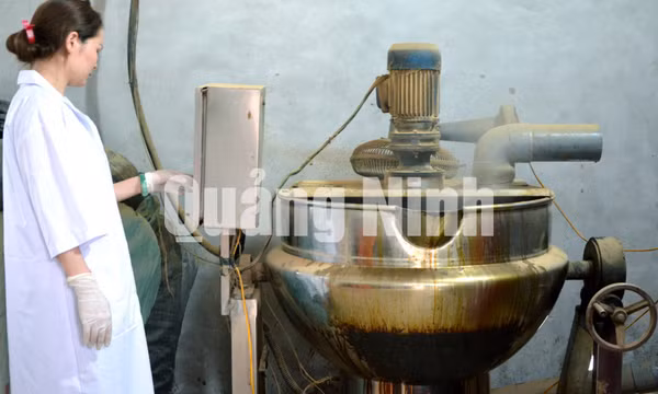 Công ty TNHH Nuôi trồng, sản xuất và chế biến dược liệu Đông Bắc (TP Cẩm Phả)