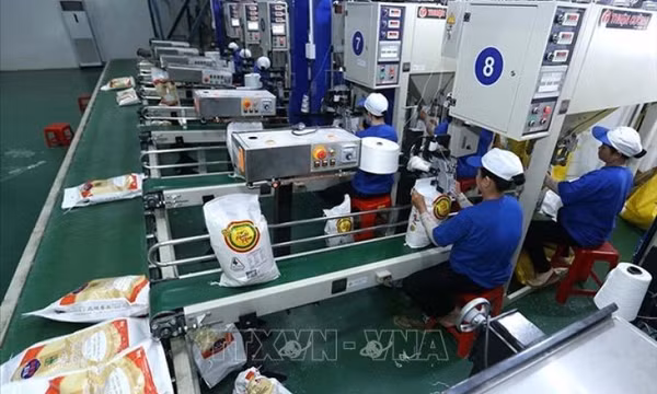 Tính chuyện đường dài trong xuất khẩu gạo