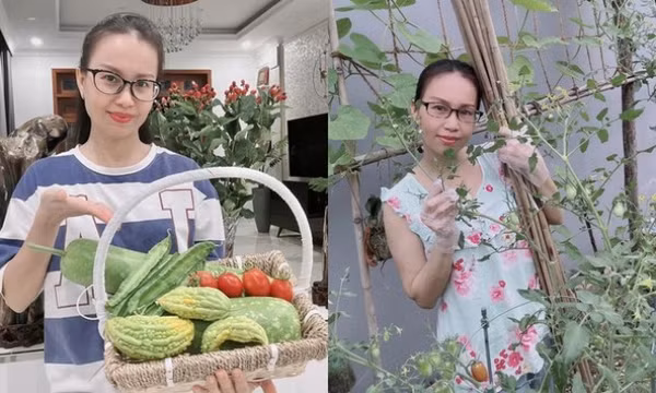 "Chị Tư" Cẩm Ly của hiện tại