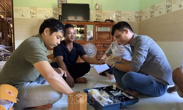 Việt Nam đã có 46 tỉnh, thành phố loại trừ được bệnh sốt rét