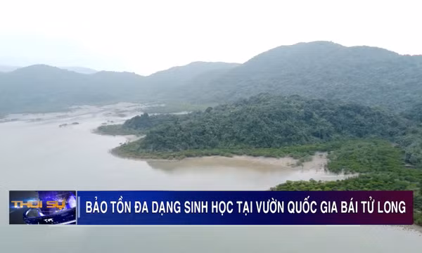 Bảo tồn đa dạng sinh học tại Vườn quốc gia Bái Tử Long