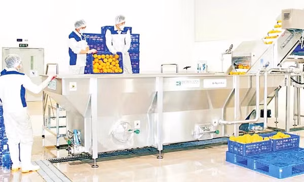 Ngành nông nghiệp hứa hẹn bứt phá mạnh mẽ