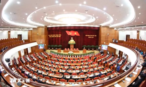 Công tác nhân sự của Đảng: Những bài học đắt giá khi 'thấy đỏ tưởng chín'