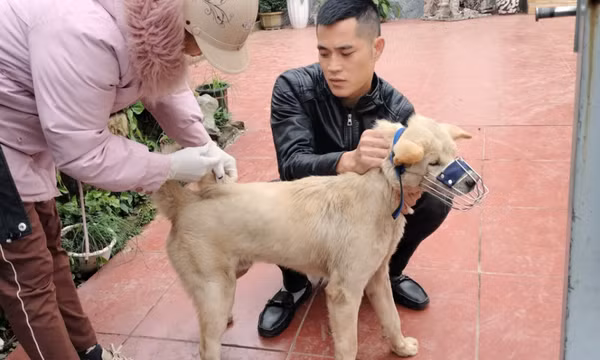 Chủ động phòng chống bệnh lây từ động vật sang người
