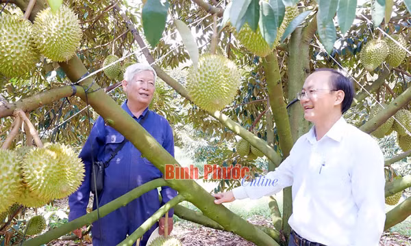 Khúc tráng ca nông nghiệp Bình Phước