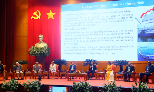 Khai thác mạnh mẽ tiềm năng để phát triển nuôi biển bền vững