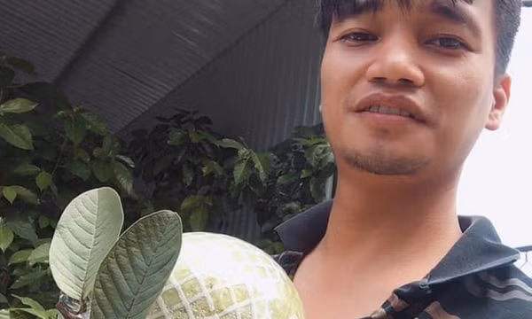 Hiện tượng mạng Lệ Rơi sau 10 năm giờ ra sao?