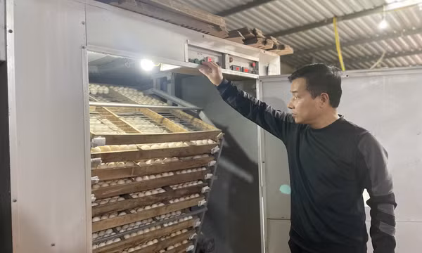 Tạo điều kiện để kinh tế tập thể phát triển