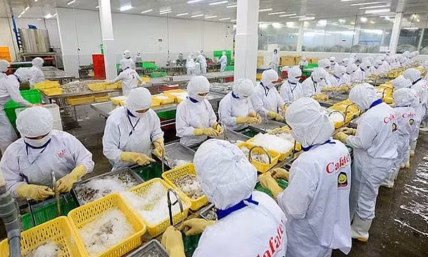 Việt Nam lần đầu tiên vươn lên vị trí thứ 5 xuất khẩu thủy sản vào Singapore