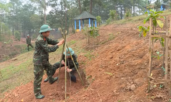 Trồng rừng - bảo vệ môi trường sống xanh