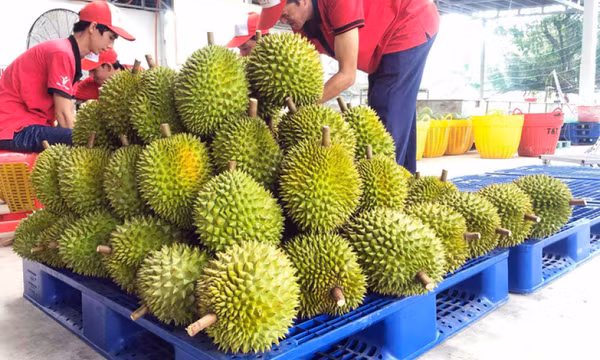 Hàng loạt nông sản Việt rất 'hot' trên thị trường quốc tế