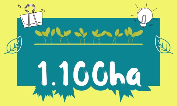 1.100ha - là diện tích cây trồng duy trì sản xuất theo quy trình sản xuất nông nghiệp tốt trên địa bàn tỉnh