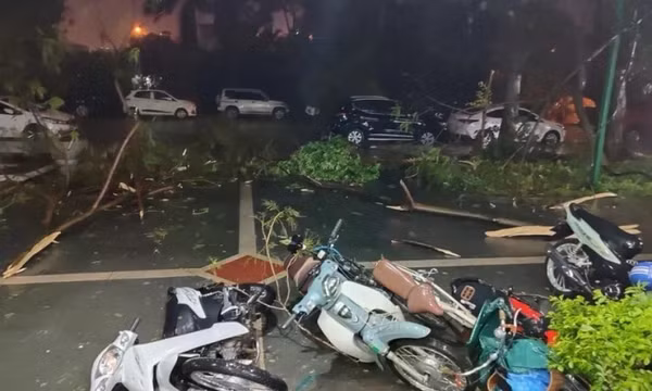Khu vực Bắc Bộ ngày nắng, cục bộ có mưa to trong ngày cuối tuần