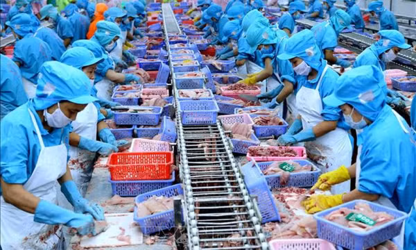 Xuất khẩu thủy sản quý I/2024 đạt gần 2 tỷ USD
