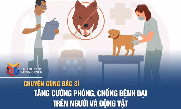 Tăng cường phòng, chống bệnh dại trên người và động vật