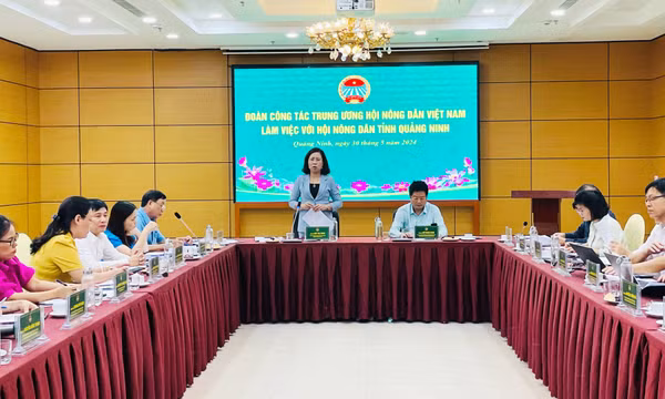 Trung ương Hội Nông dân Việt Nam làm việc với Hội Nông dân tỉnh 