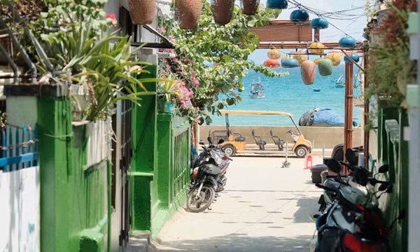 Mùa hè lang thang ngõ nhỏ ở làng chài Nhơn Lý 