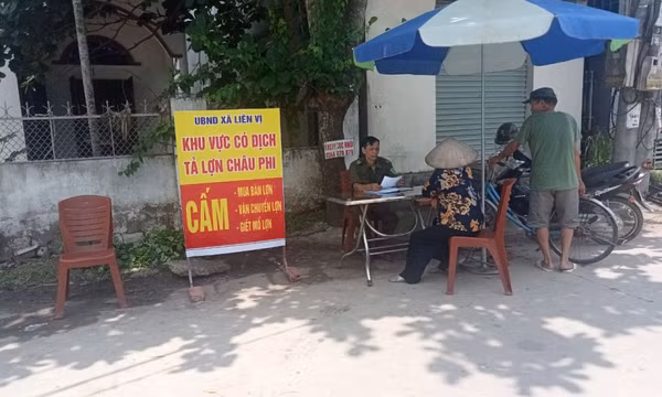 Quảng Yên: Dịch tả lợn châu Phi lan ra xã Liên Vị