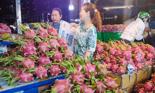 Thanh long, đậu bắp sang EU không cẩn thận sẽ bị tạm dừng