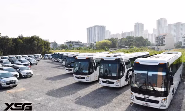 Dịch vụ thuê xe đi Cần Thơ tại Xe Sài Gòn: An toàn - Tiện nghi - Tiết kiệm