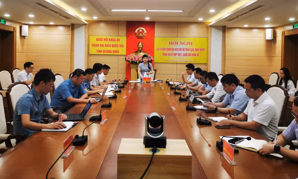 Đoàn ĐBQH tỉnh tổ chức lấy ý kiến tham gia vào các dự thảo Luật, quy hoạch