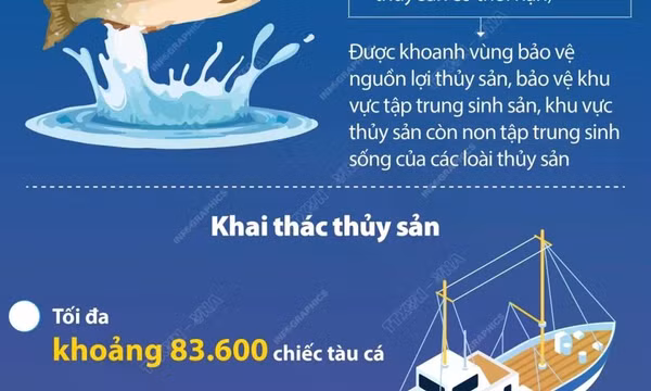 Đưa Việt Nam trở thành quốc gia có nghề cá phát triển bền vững vào năm 2050