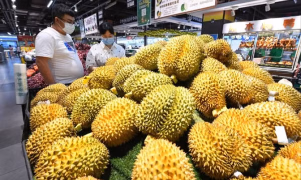 Sầu riêng - Trái cây thời thượng tại Trung Quốc
