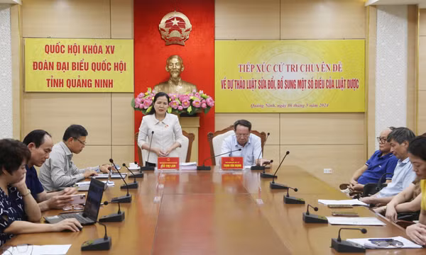 Đoàn ĐBQH tỉnh tiếp xúc cử tri chuyên đề cho ý kiến vào dự thảo luật
