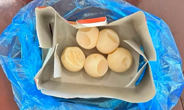 Mẹ chồng nàng dâu cùng nộp phạt hơn 1 tỉ đồng vì mua trứng rùa biển trái phép