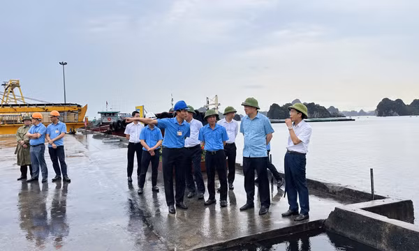 TKV tăng cường công tác quản lý các hệ thống cụm kho cảng
