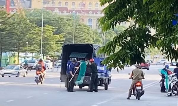 Hạ Long: Bắt chó thả rông để phòng, chống bệnh dại