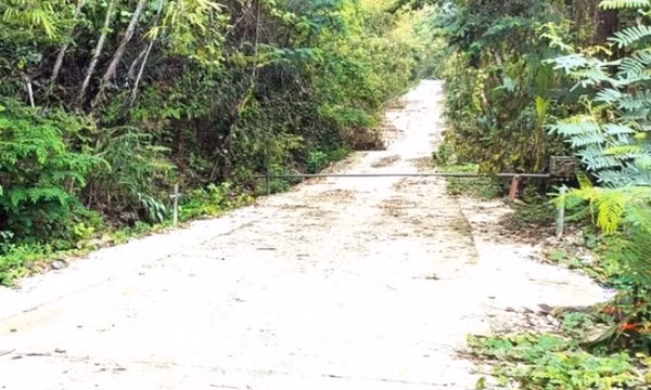 Hai thanh niên thương vong khi lên núi Bà Rá chơi