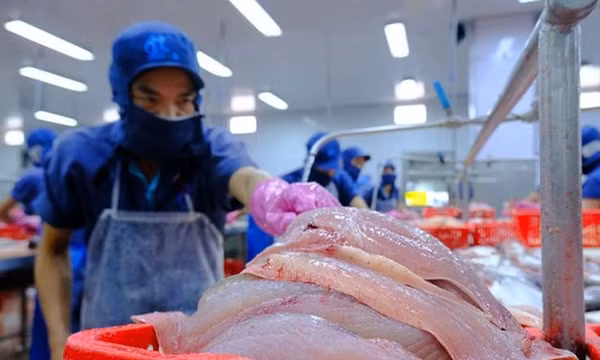 Xuất khẩu Việt Nam tăng trưởng ấn tượng