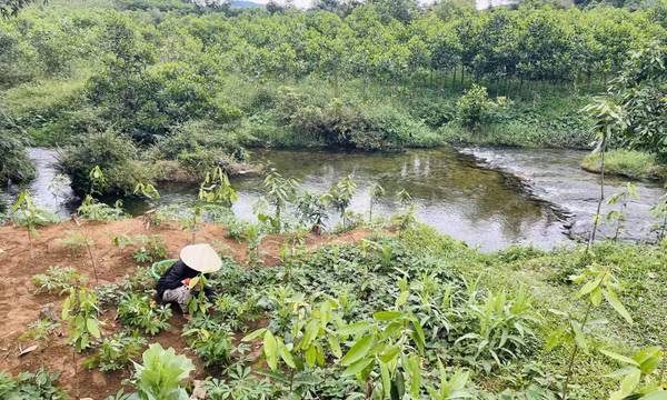 Sớm đầu tư xây dựng hồ chứa nước Tài Chi