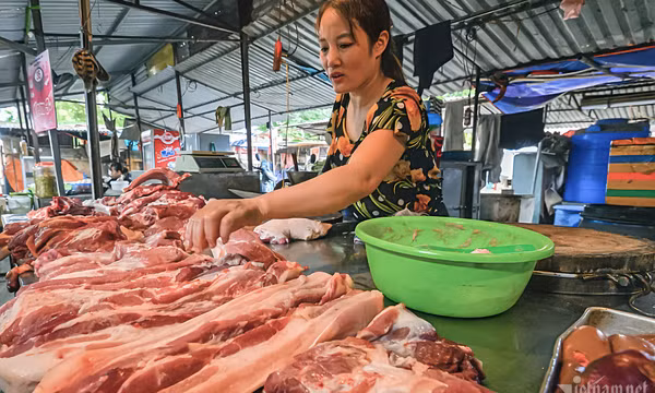Giá thịt lợn lập đỉnh, ‘đại gia’ chăn nuôi lãi khủng