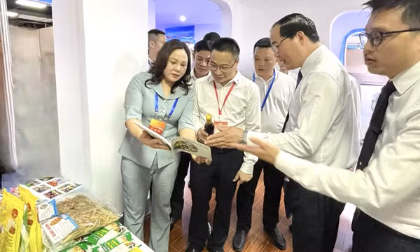 Quảng Ninh tham dự Lễ hội du lịch biên giới Việt - Trung