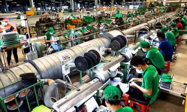 Việt Nam - ngôi sao mới của Ấn Độ Dương - Thái Bình Dương