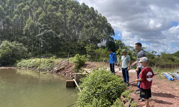 Ấn tượng Khu du lịch trải nghiệm tại trang trại Family Ecozone