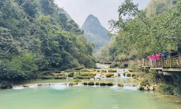 Cánh rừng đẹp siêu thực được ví như Cửu Trại Câu thứ hai ở Trung Quốc