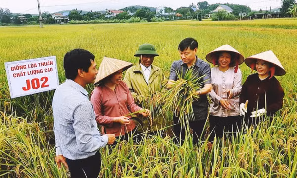 Vì một nền nông nghiệp xanh, phát thải thấp 