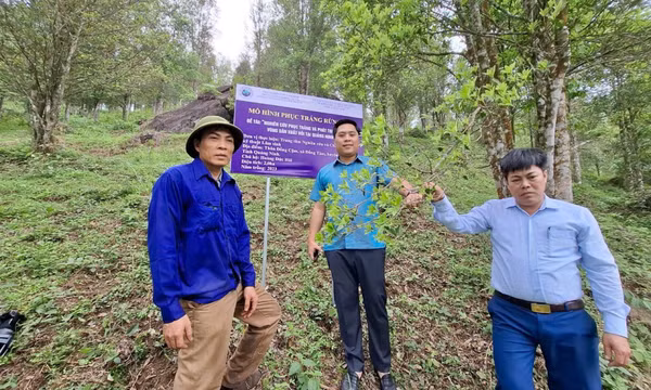 Đưa KHCN đến khu vực đồng bào dân tộc thiểu số