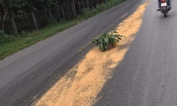 Tai nạn gãy chân vì dầu đổ ra đường
