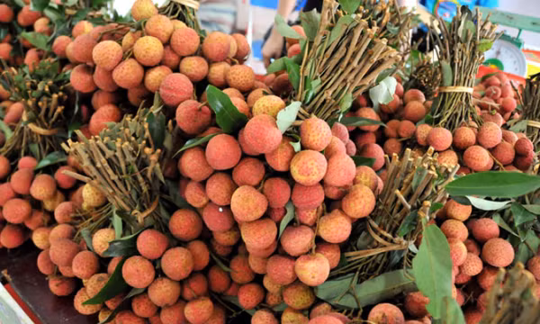 Bản tin Vùng Đông Bắc ngày 21/5/2024