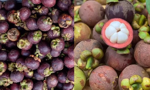 Măng cụt Thái rẻ bằng nửa hàng Việt