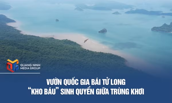 Vườn Quốc gia Bái Tử Long - “Kho báu” sinh quyển giữa trùng khơi