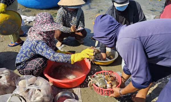 Độc đáo chợ cá làng chài Mũi Né