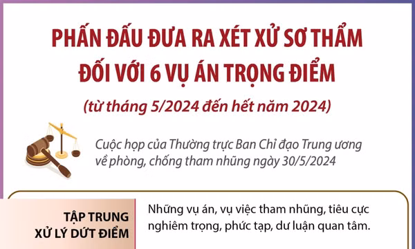 Phấn đấu đưa ra xét xử sơ thẩm đối với 6 vụ án trọng điểm