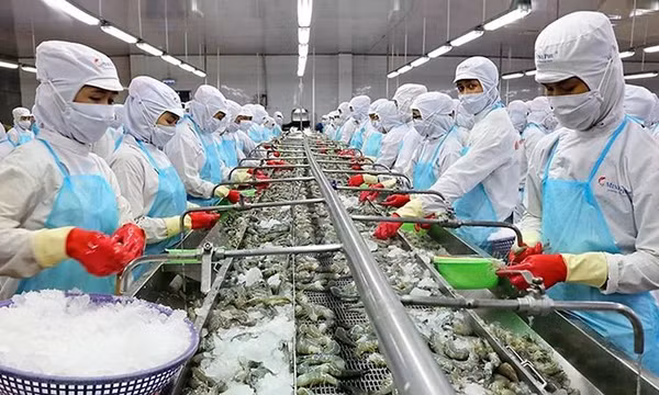 Xuất khẩu tôm trước thách thức “lội ngược dòng”